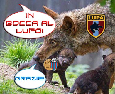 in bocca al lupo...grazie
